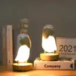 Veilleuse toucan en bois 1