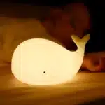 Baleine veilleuse 1