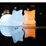 Veilleuse chat 12