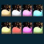 393906085